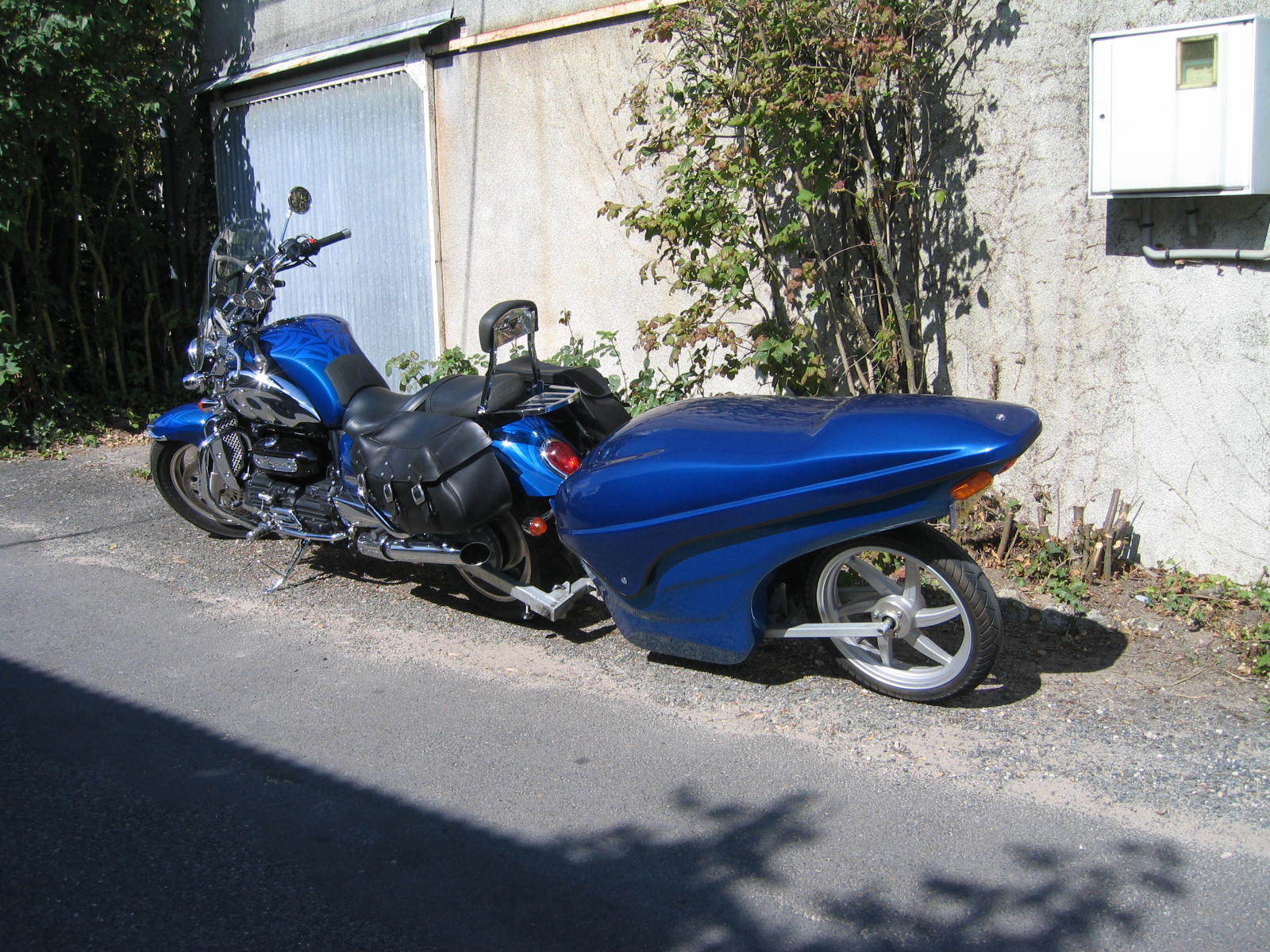 IMG_7924.JPG