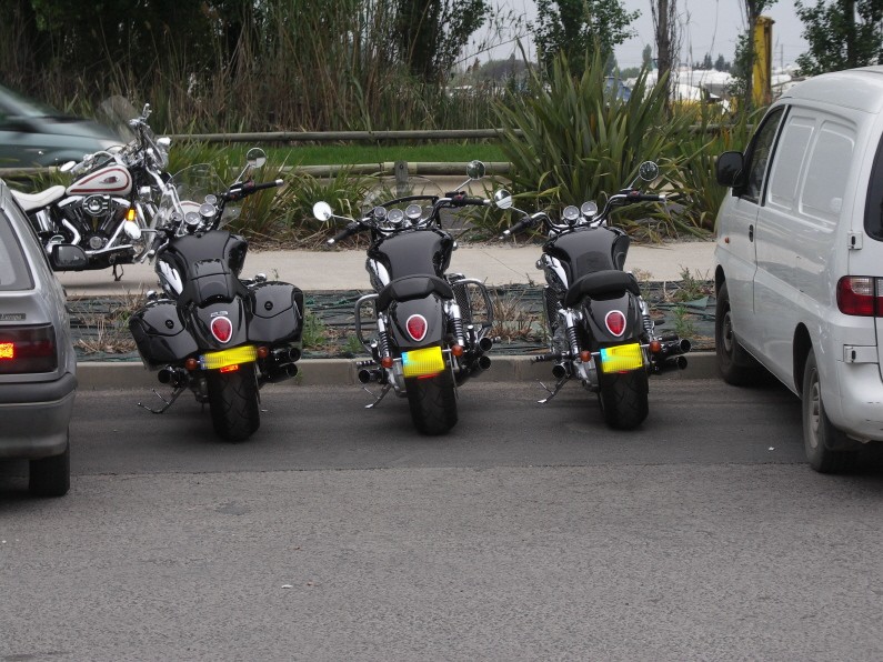 3 beaux culs.JPG