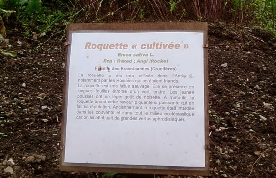 La roquette.jpg
