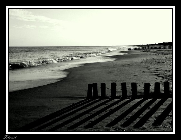 PICT0093-1Littoral.jpg