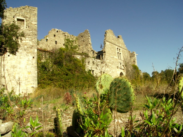 PICT0004.JPG