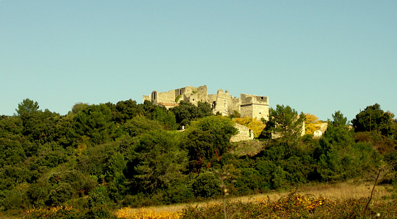 PICT0065-1.JPG