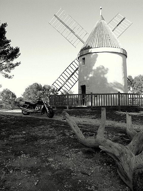 PICT0076.JPG