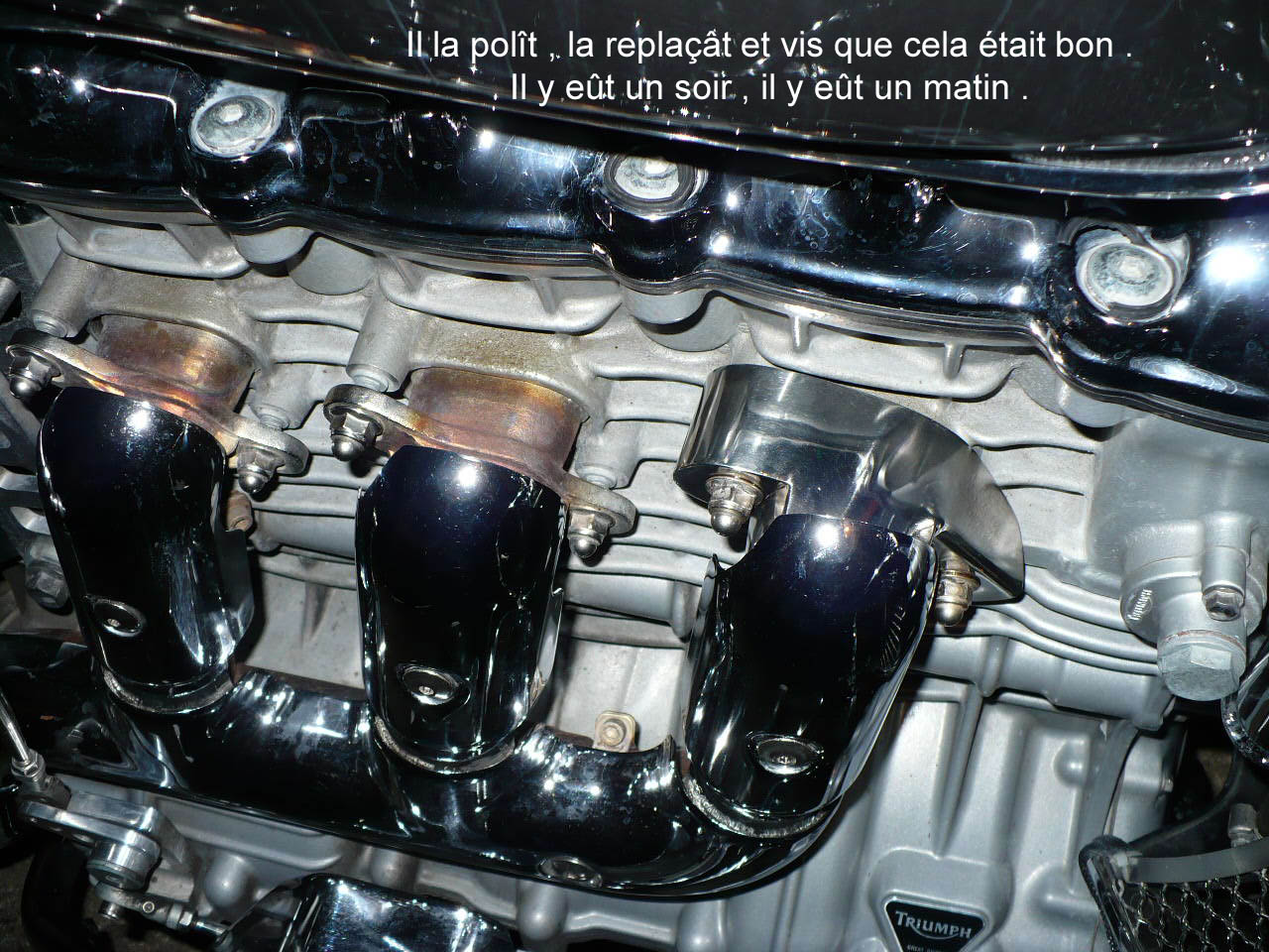I_P1000774.JPG