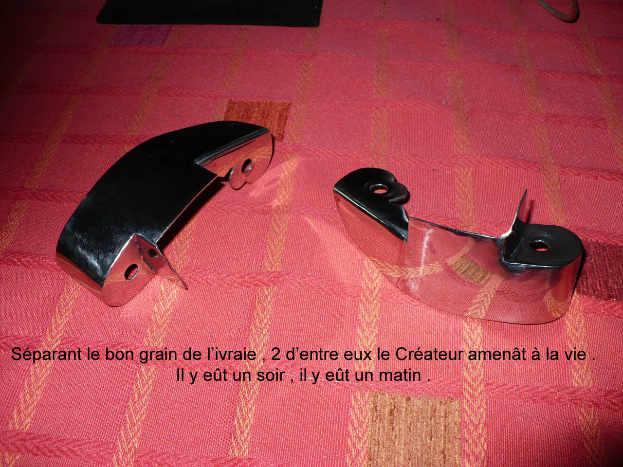 L_P1000853.JPG
