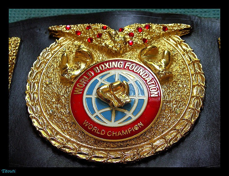 Ceinture FPjpeg.jpg