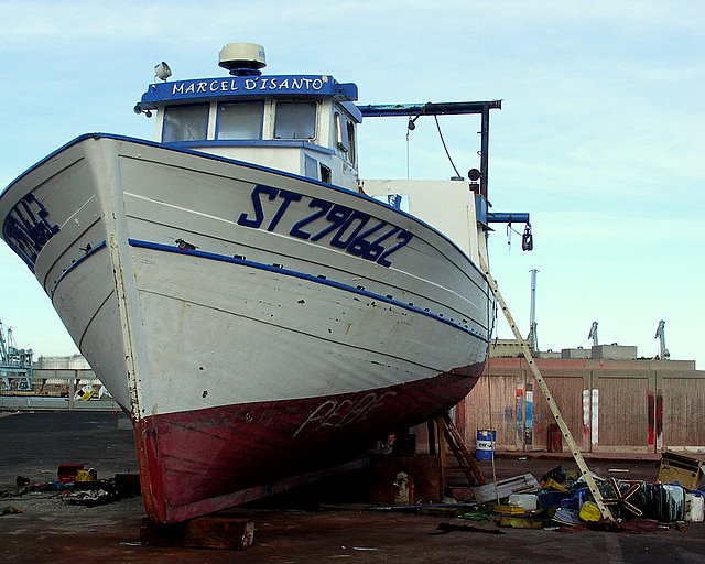 PICT0031.JPG