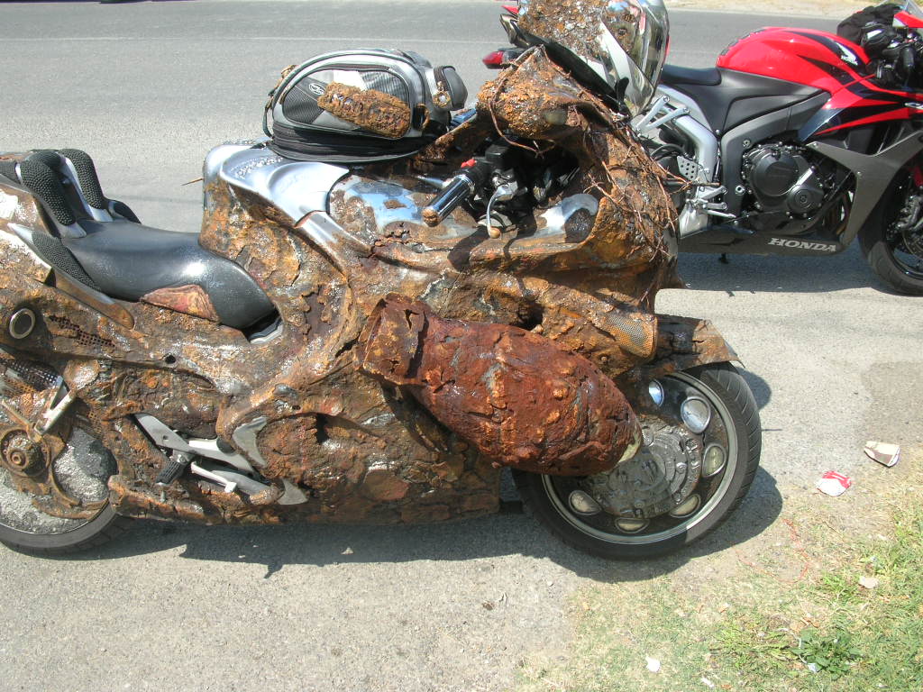 DSCN4512.JPG