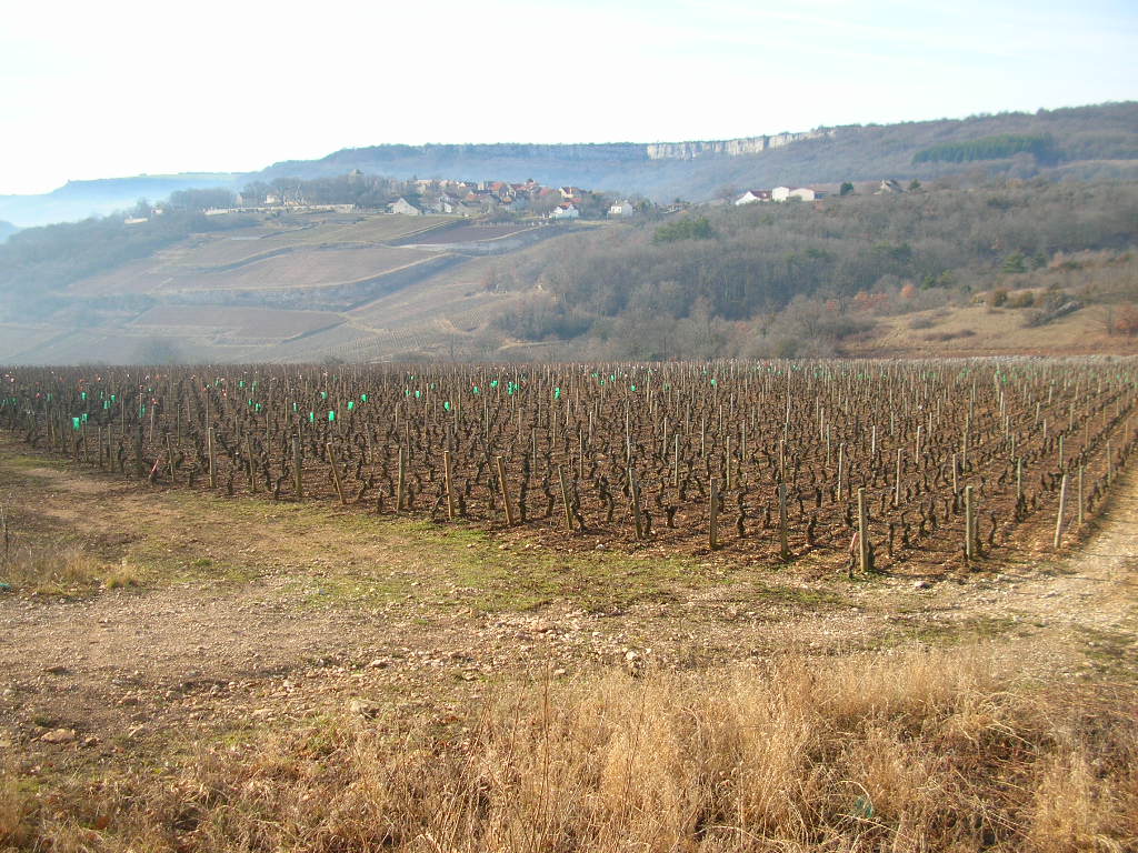 DSCN4960.JPG