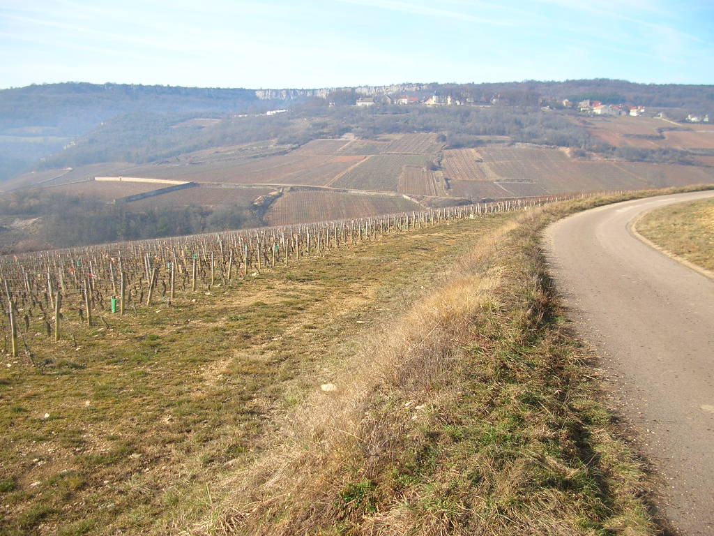 DSCN4961.JPG