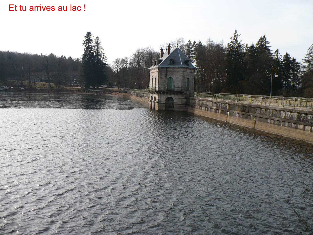 37_Lac.jpg