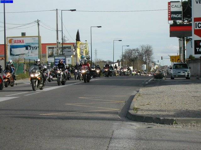 Image61.jpg