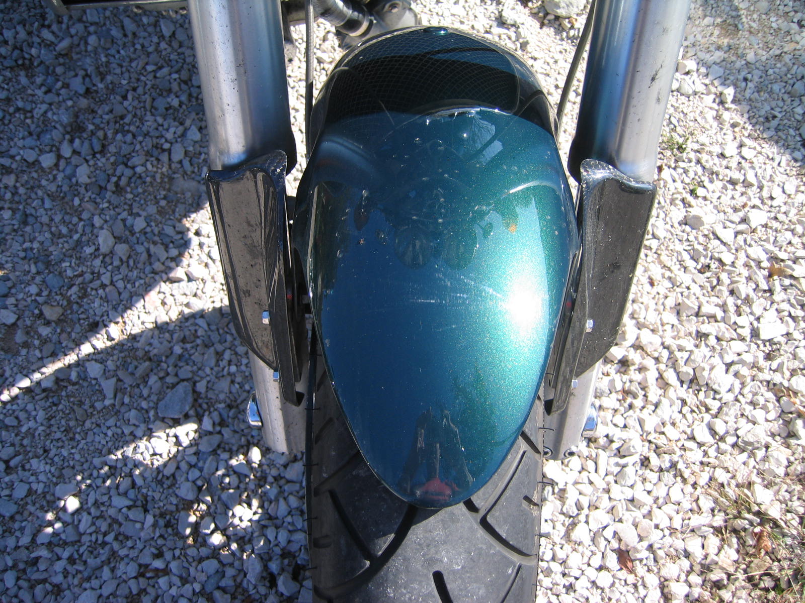 IMG_8025.JPG