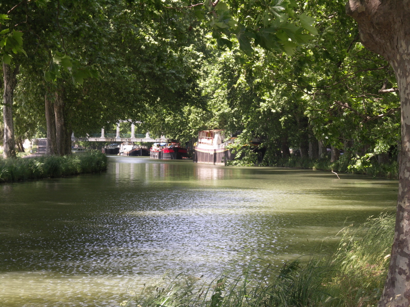 Canal du midi Cers.JPG