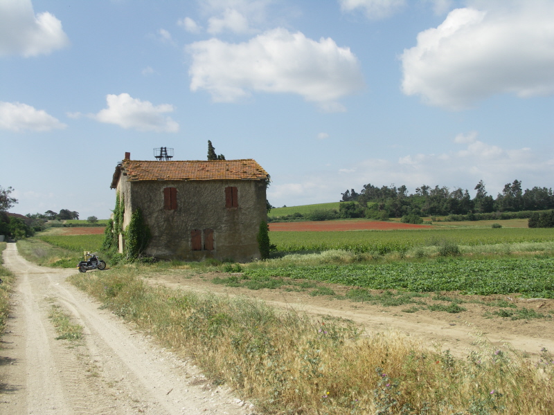 A4 coquelicot.JPG