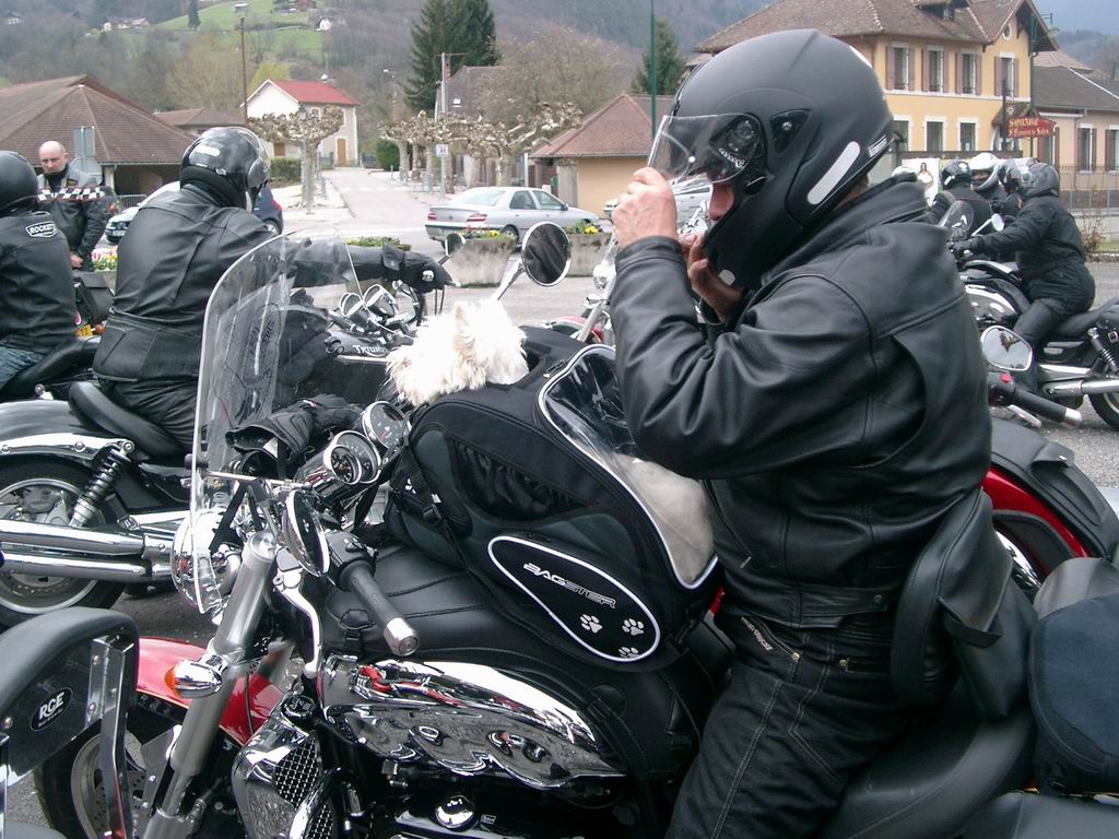 Bigmoto&chien_EK.JPG