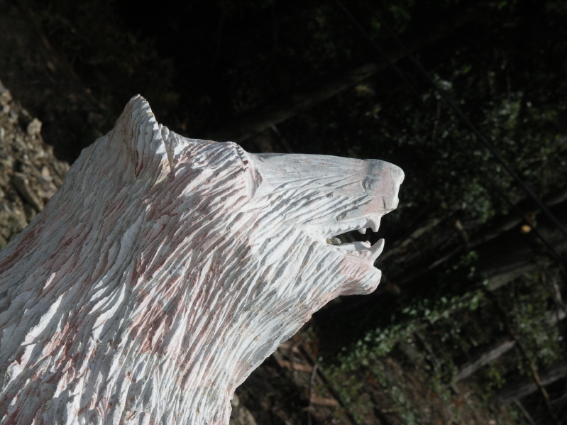 ours tete3.JPG
