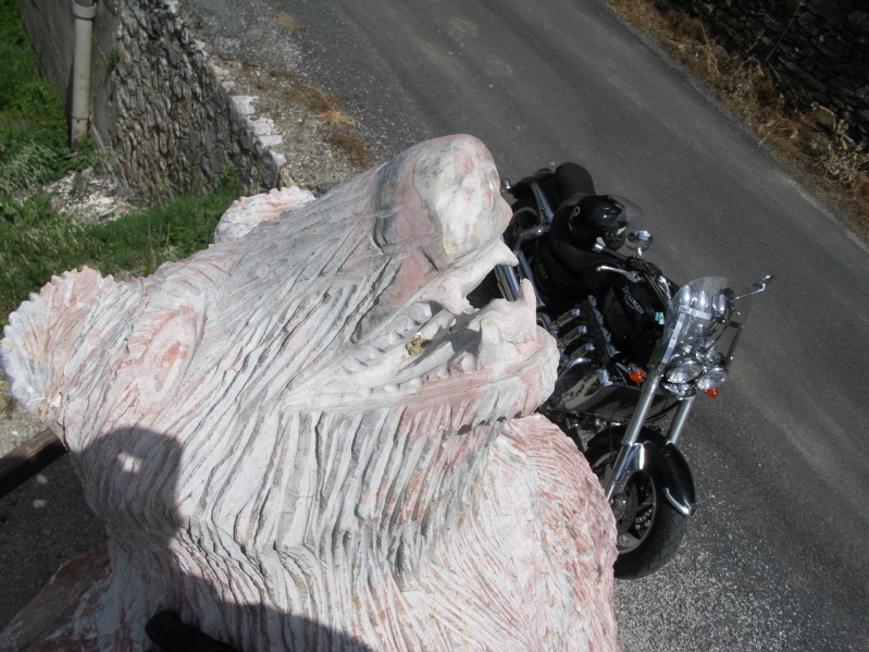 Tete ours R3.JPG