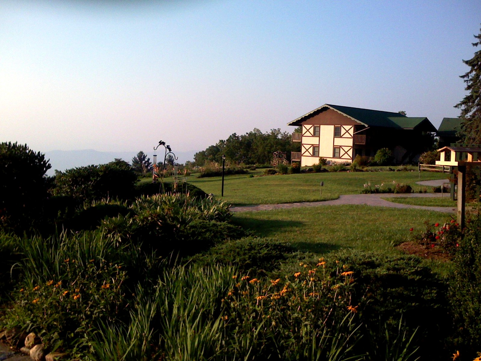 Spruce Pine 001.jpg