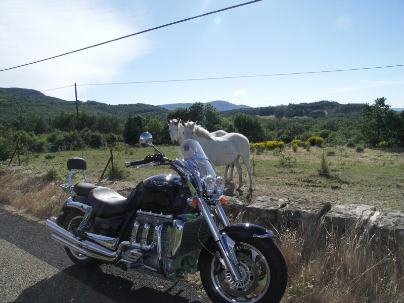 chvo blc R3.JPG