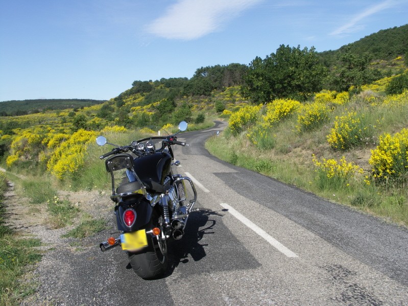 D153.JPG