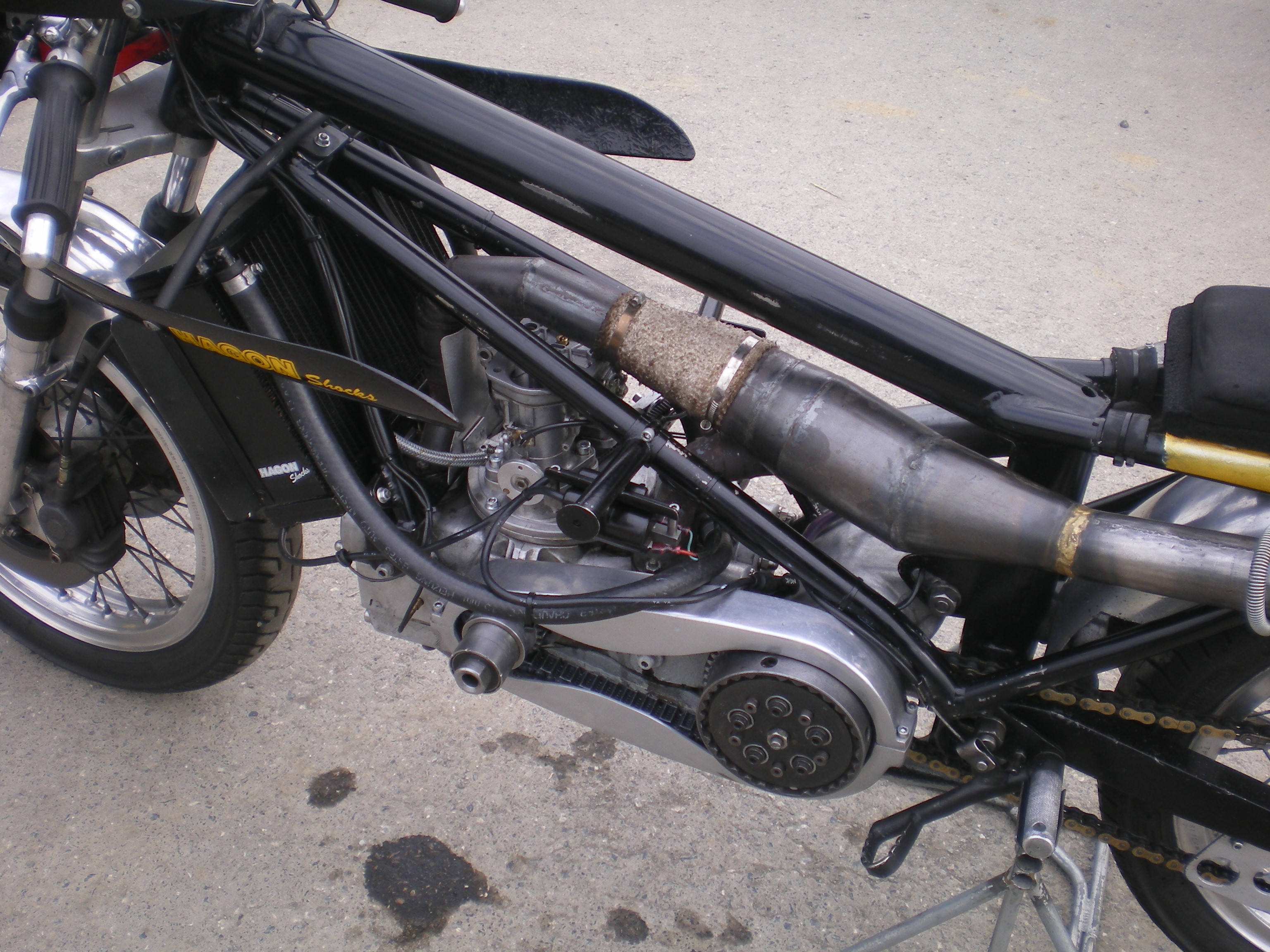 IMGP2772.JPG