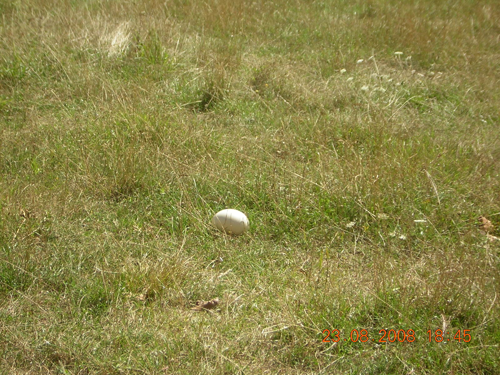 DSCN3760.JPG
