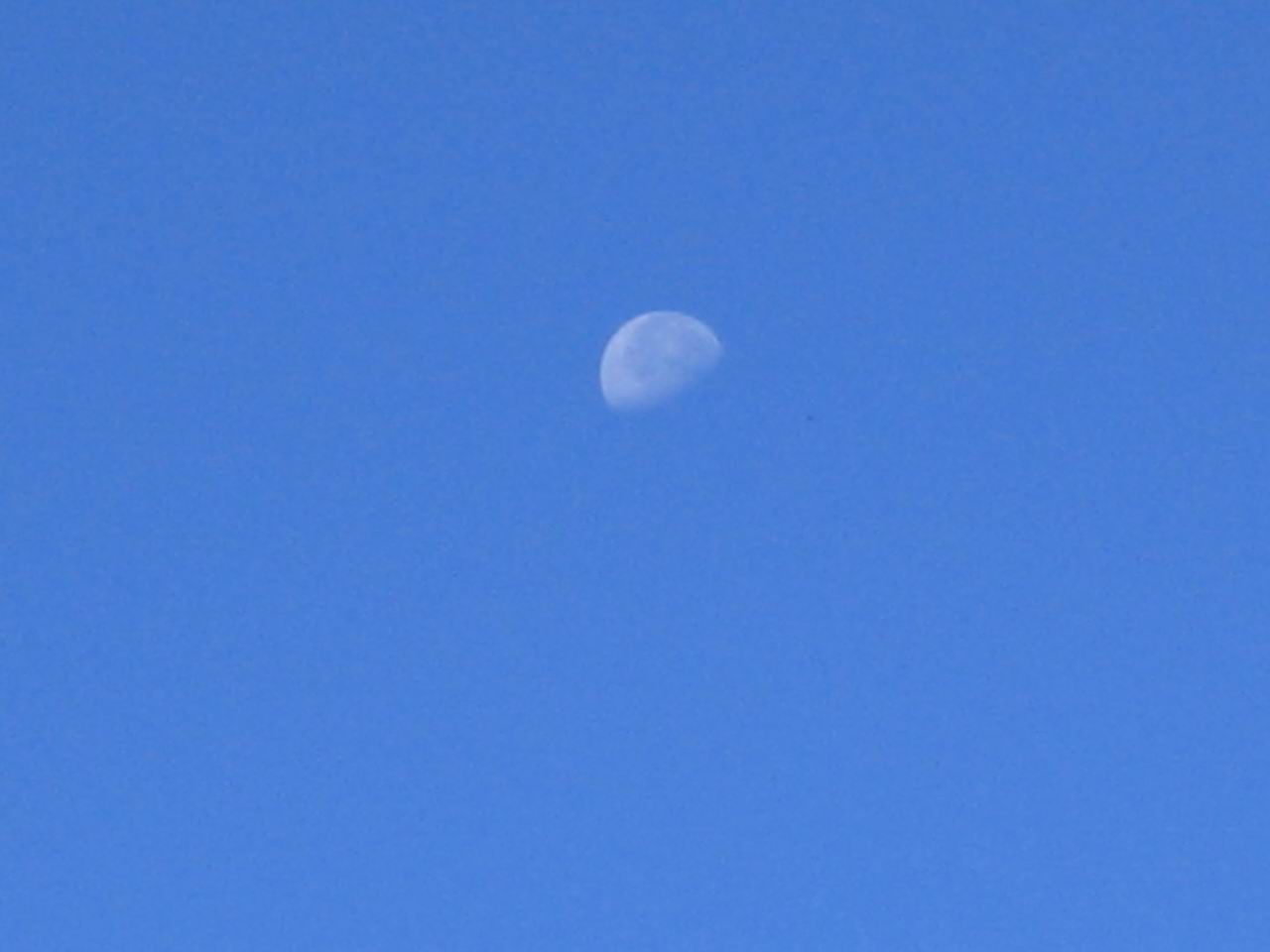 IMG_4401.JPG