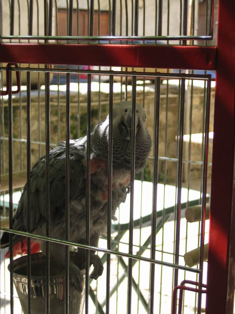 IMG_4411.JPG