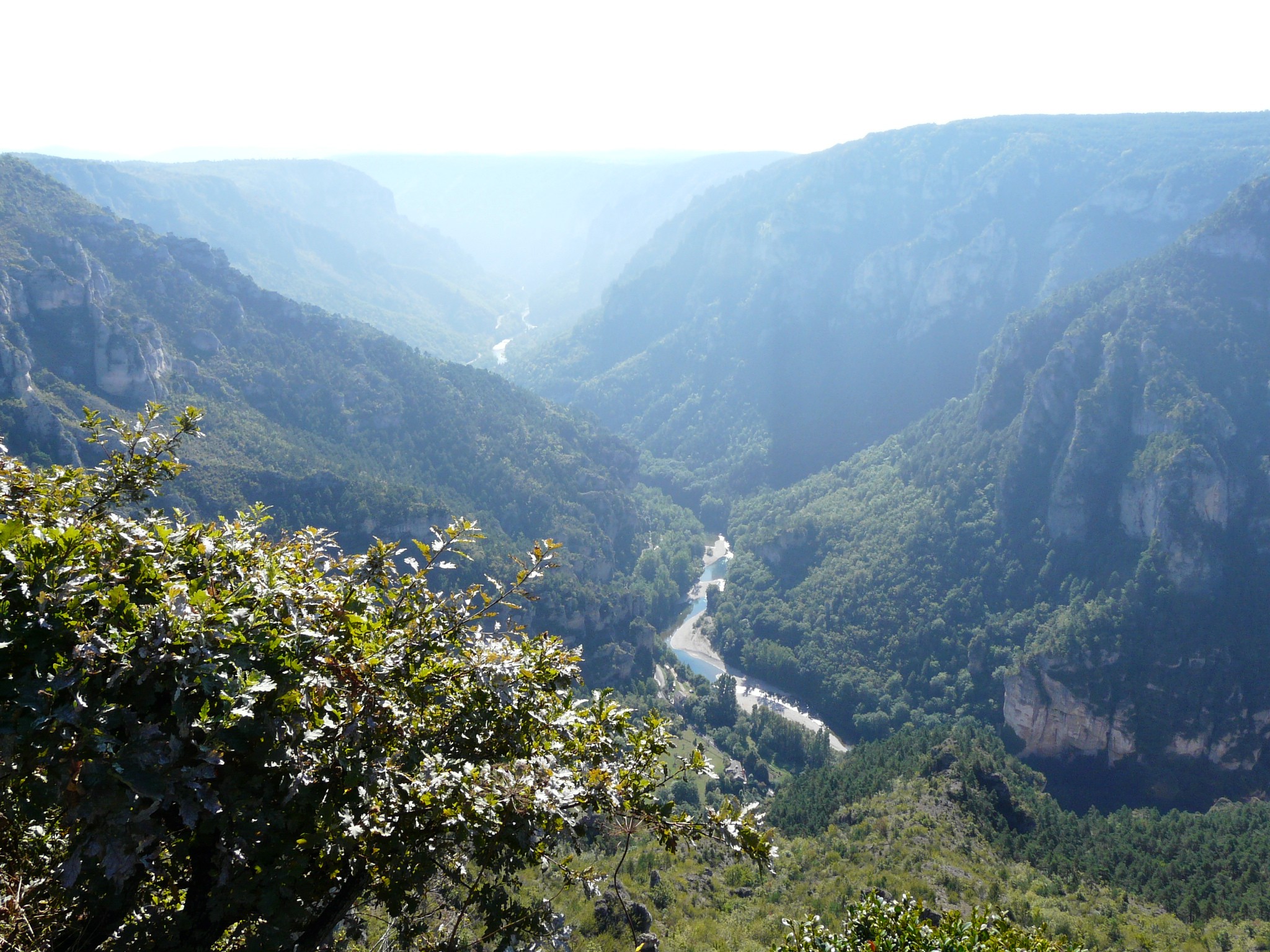 Gorges du Tarn 1.jpg