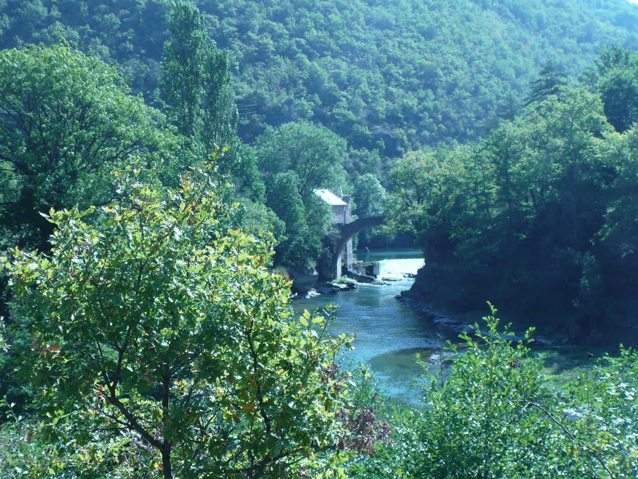 P1050611.JPG