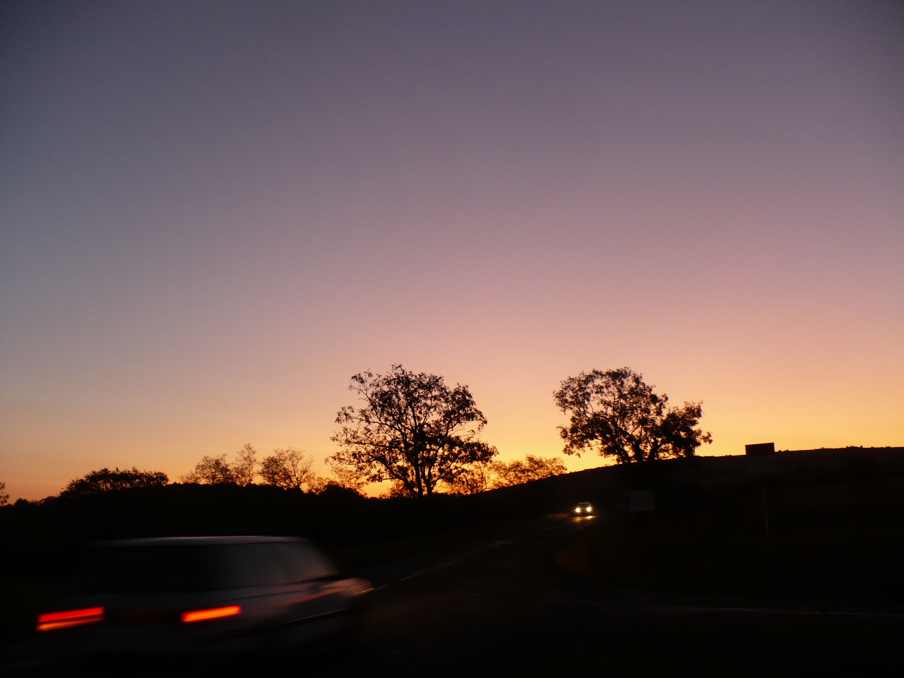 P1050700.JPG