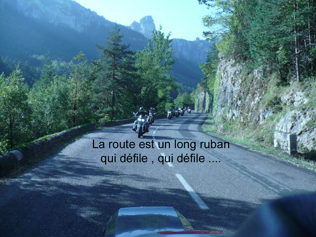 P1050738.JPG
