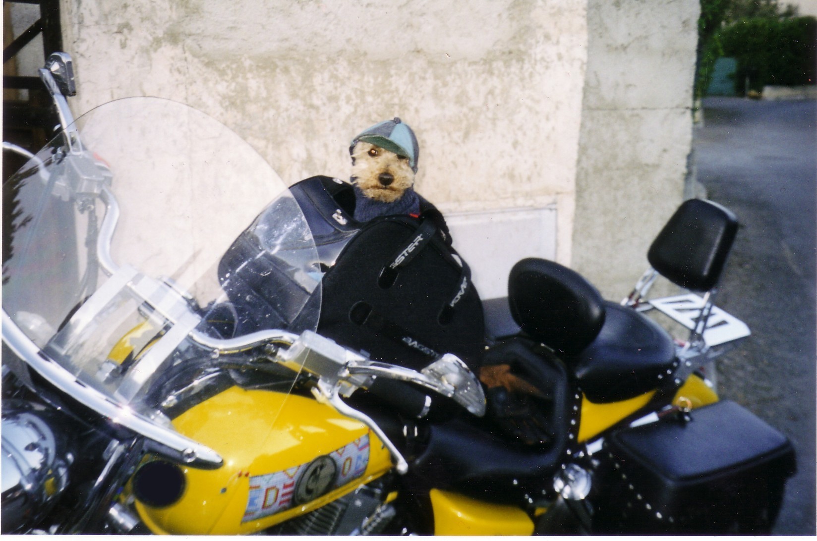 2002 Honda VTX 1800.jpg