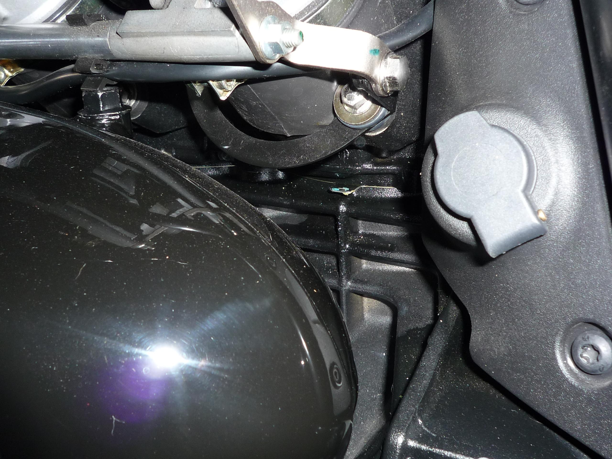 P1010300bis.JPG