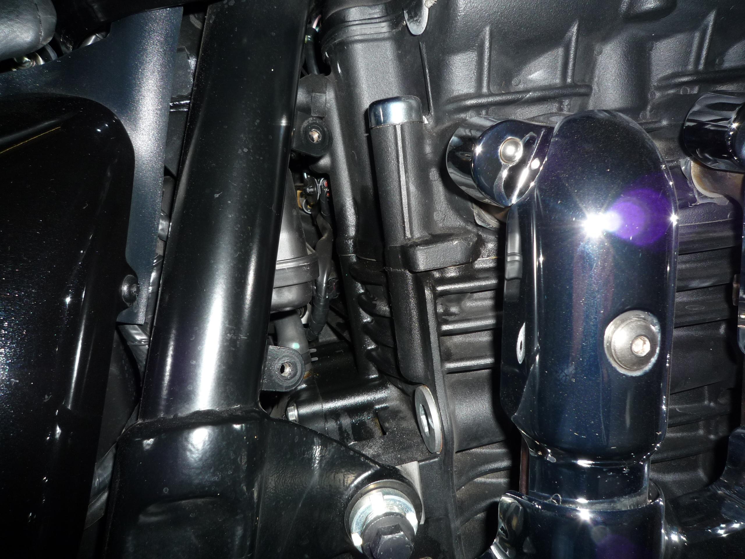 P1010302bis.JPG