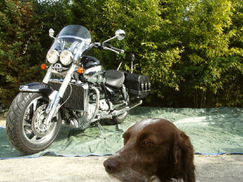 PICT0723.JPG