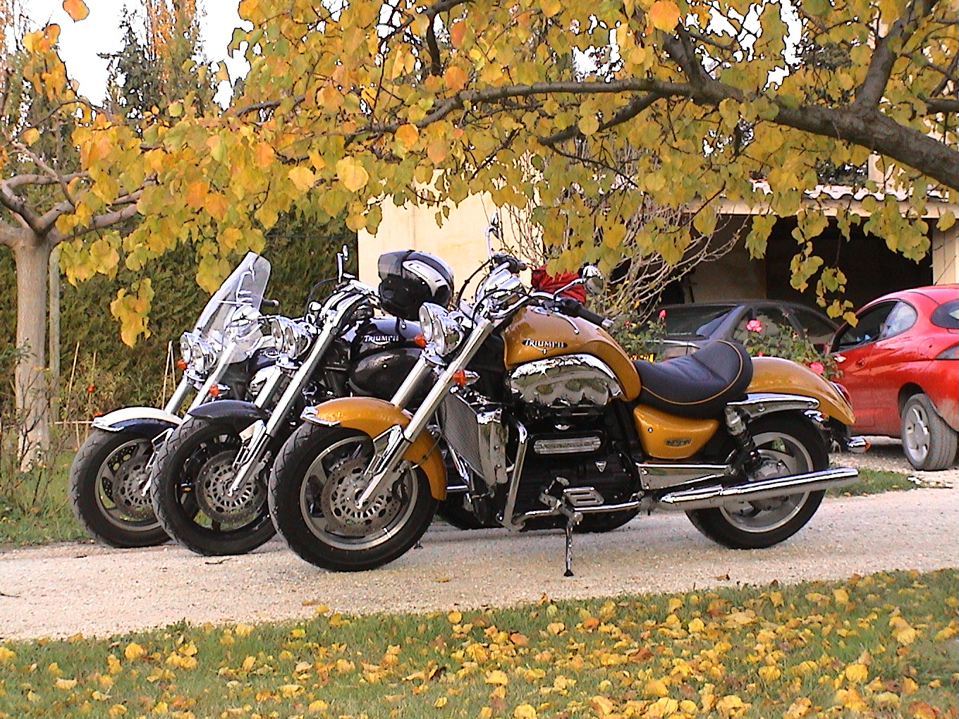DSC00011.JPG