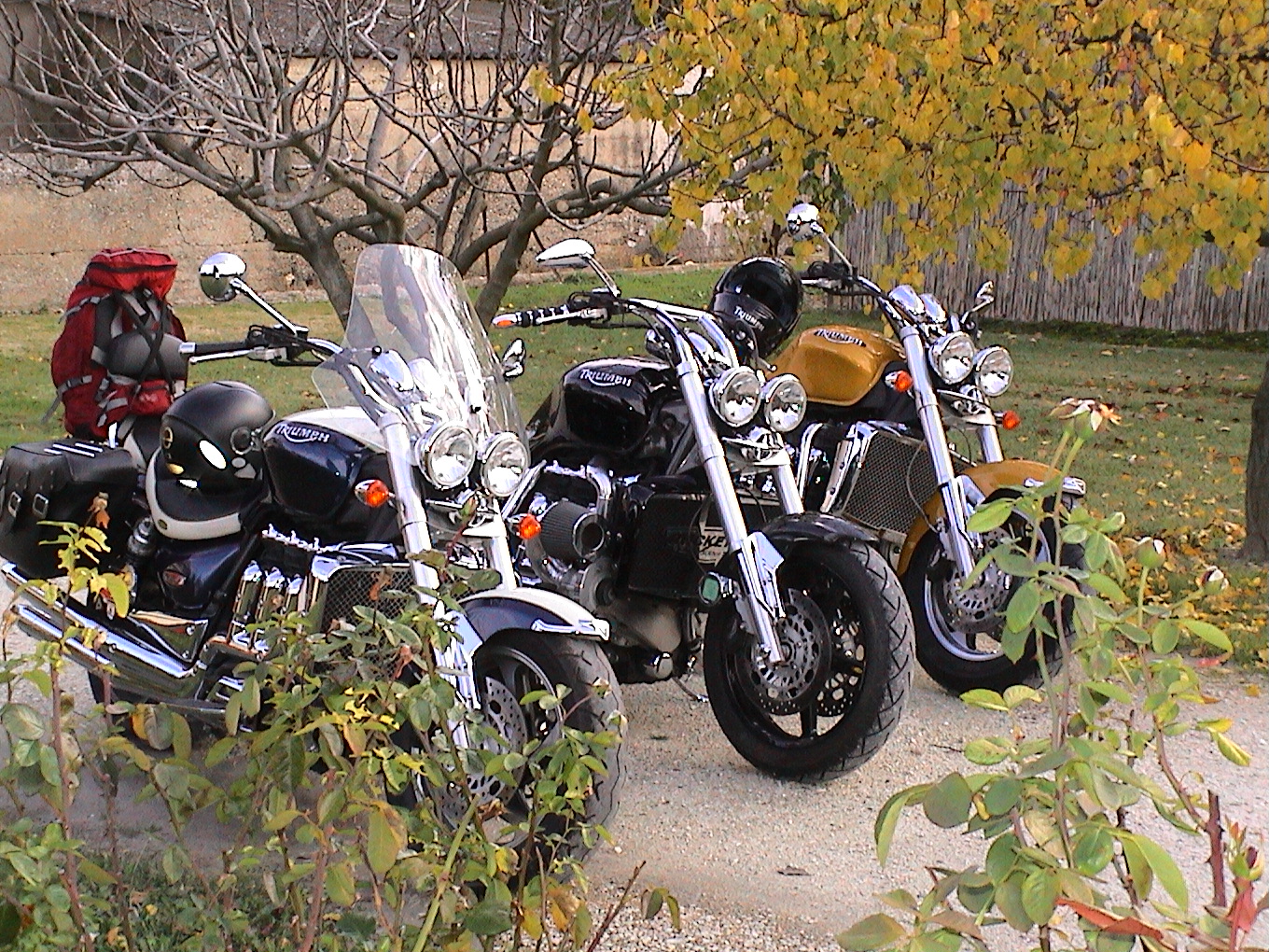 DSC00012.JPG