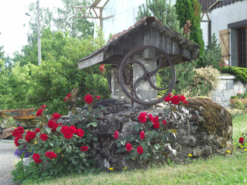 Puit fleuri.JPG