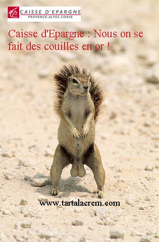 CE_en or.jpg
