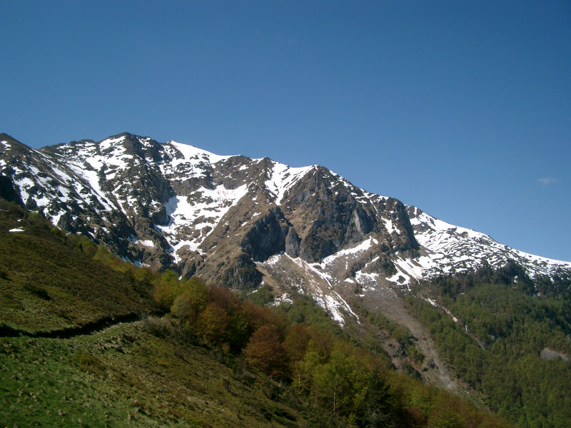 IMGP4937.jpg