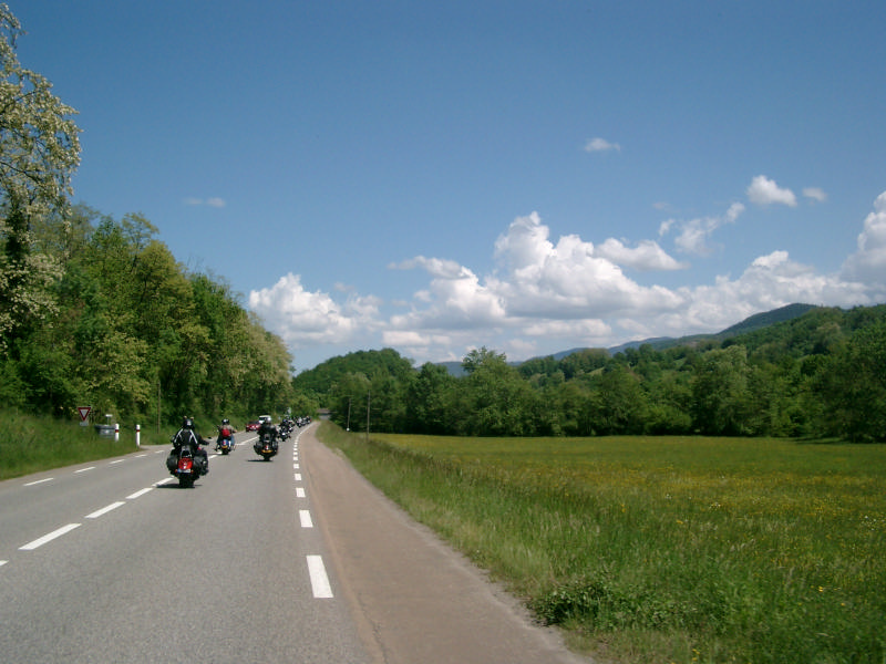IMGP4971.jpg