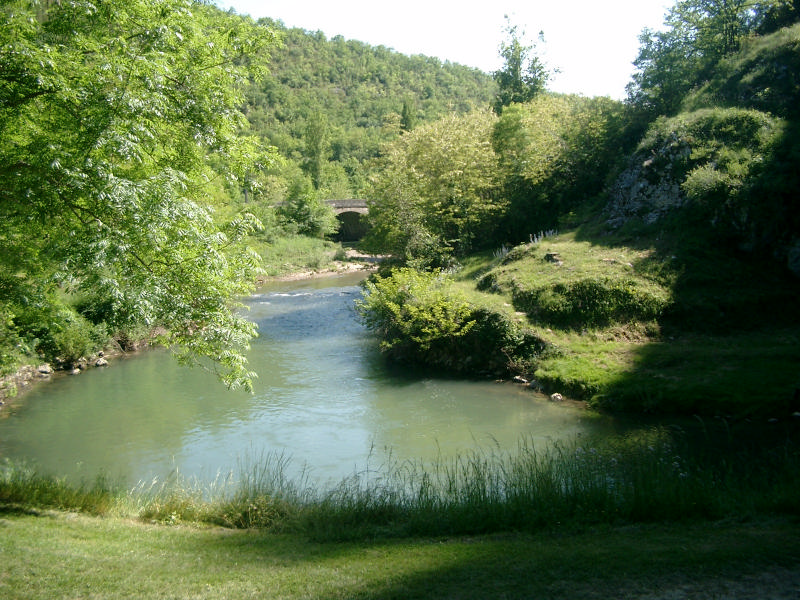 IMGP4977.jpg