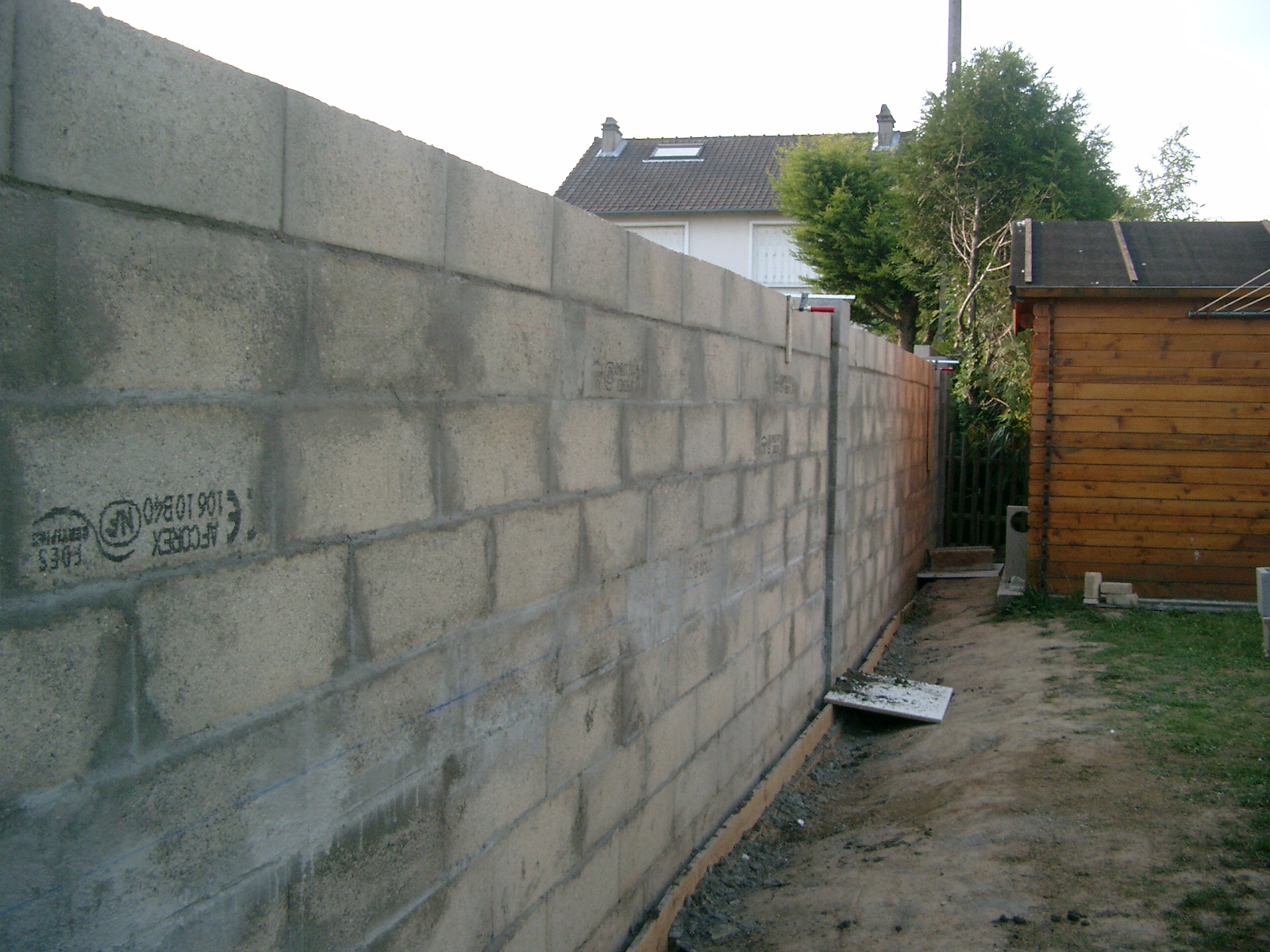 IMGP5040.JPG