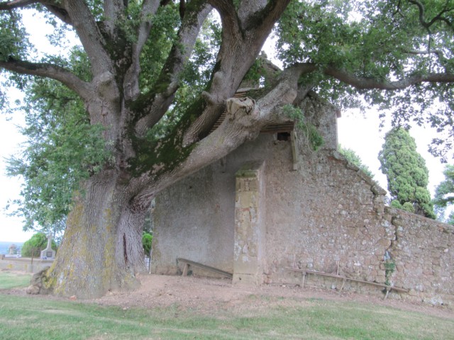 067 Chapelle de St Elix-Theux.jpg