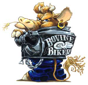 animals-bovine-biker.jpg