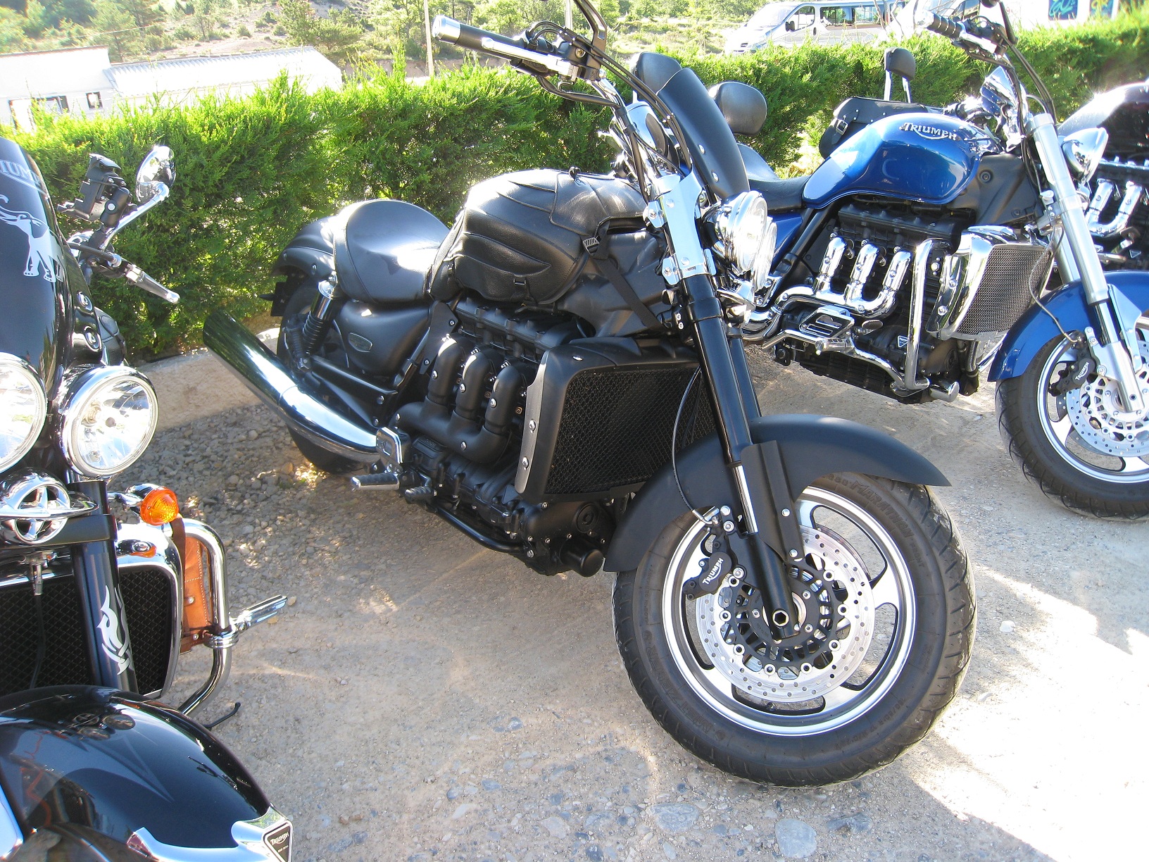 IMG_6181.JPG