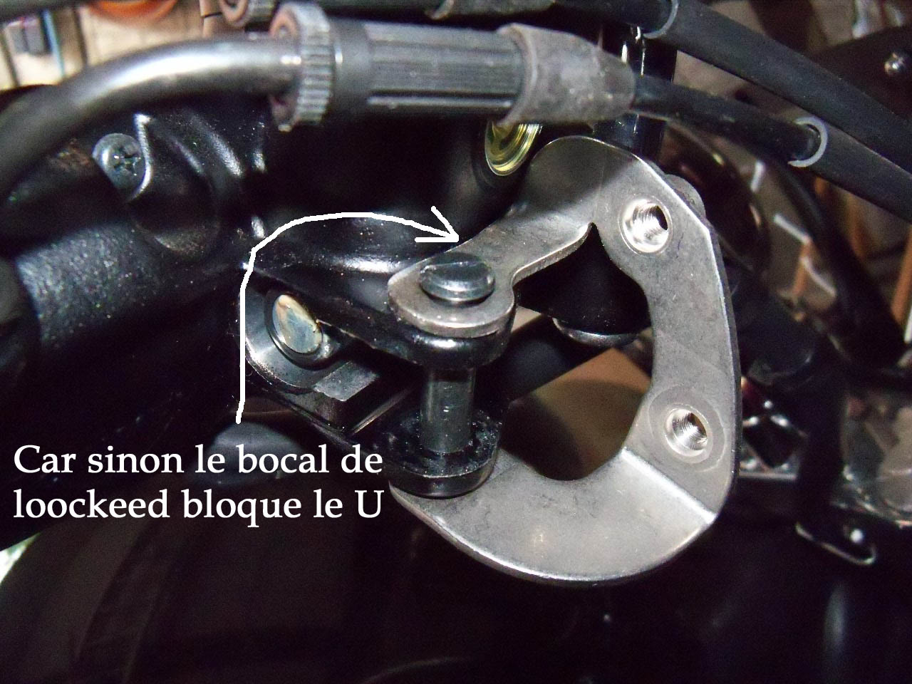 C10.jpg