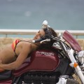 pin-up-triumph-8_05-120x120.jpg